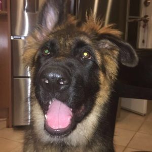 Meet your Posher, Justine